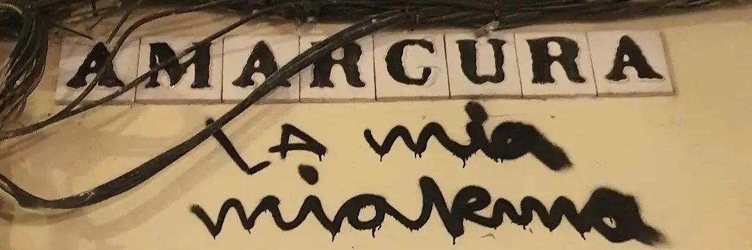 Nict 🦩 banner