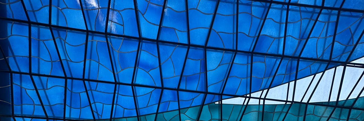 halynaleal's profile banner image