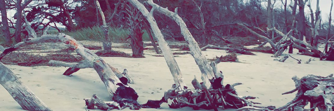 PresslieAlyssa's profile banner image