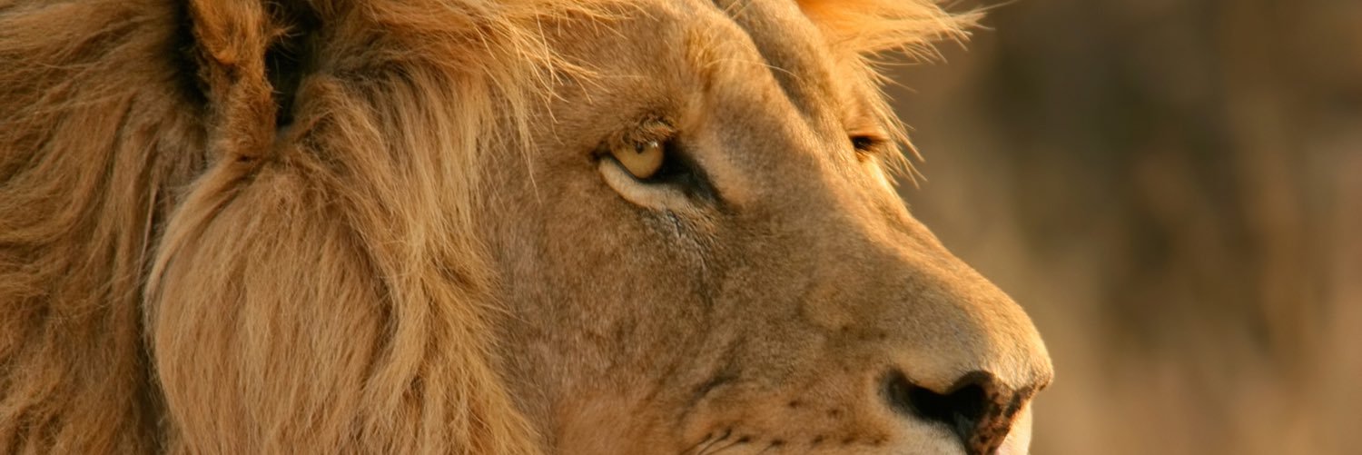Allan009's profile banner image