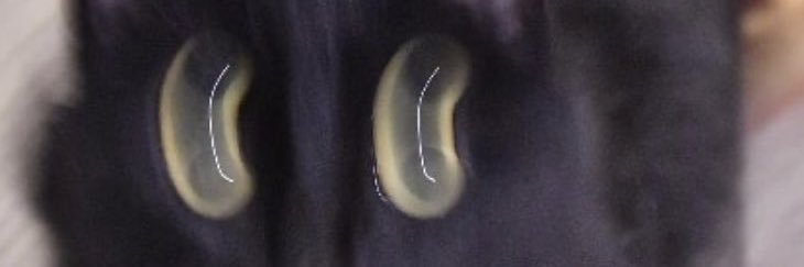 wtuckercsab's profile banner image