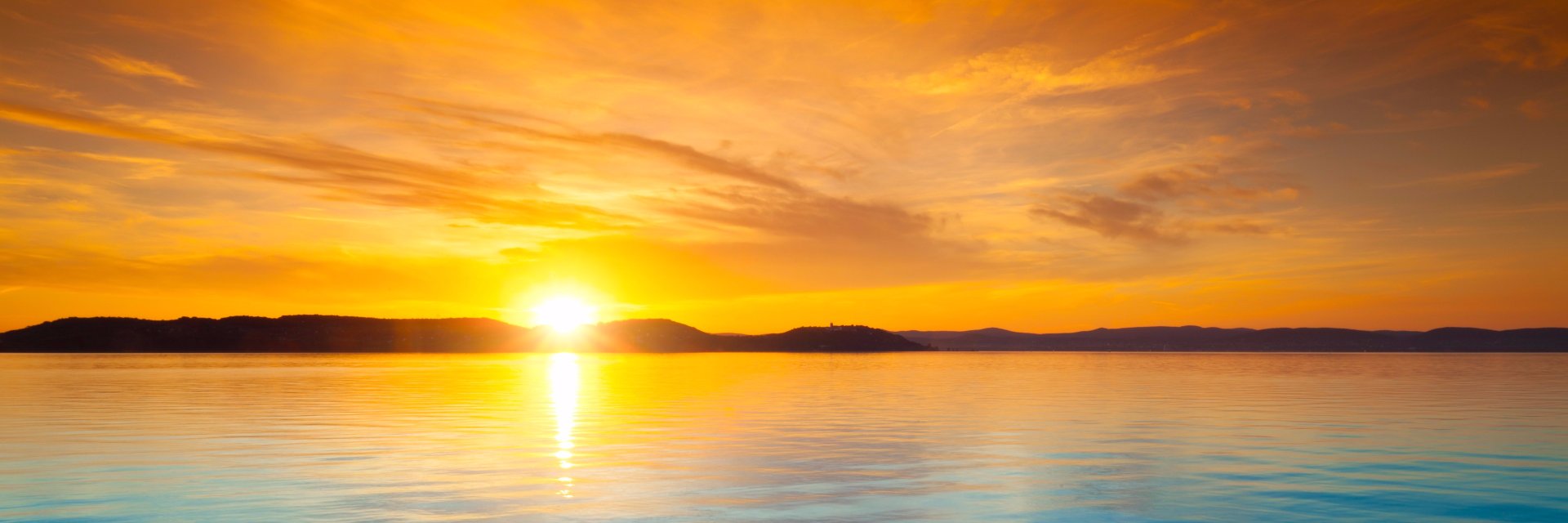 stephbwilson's profile banner image