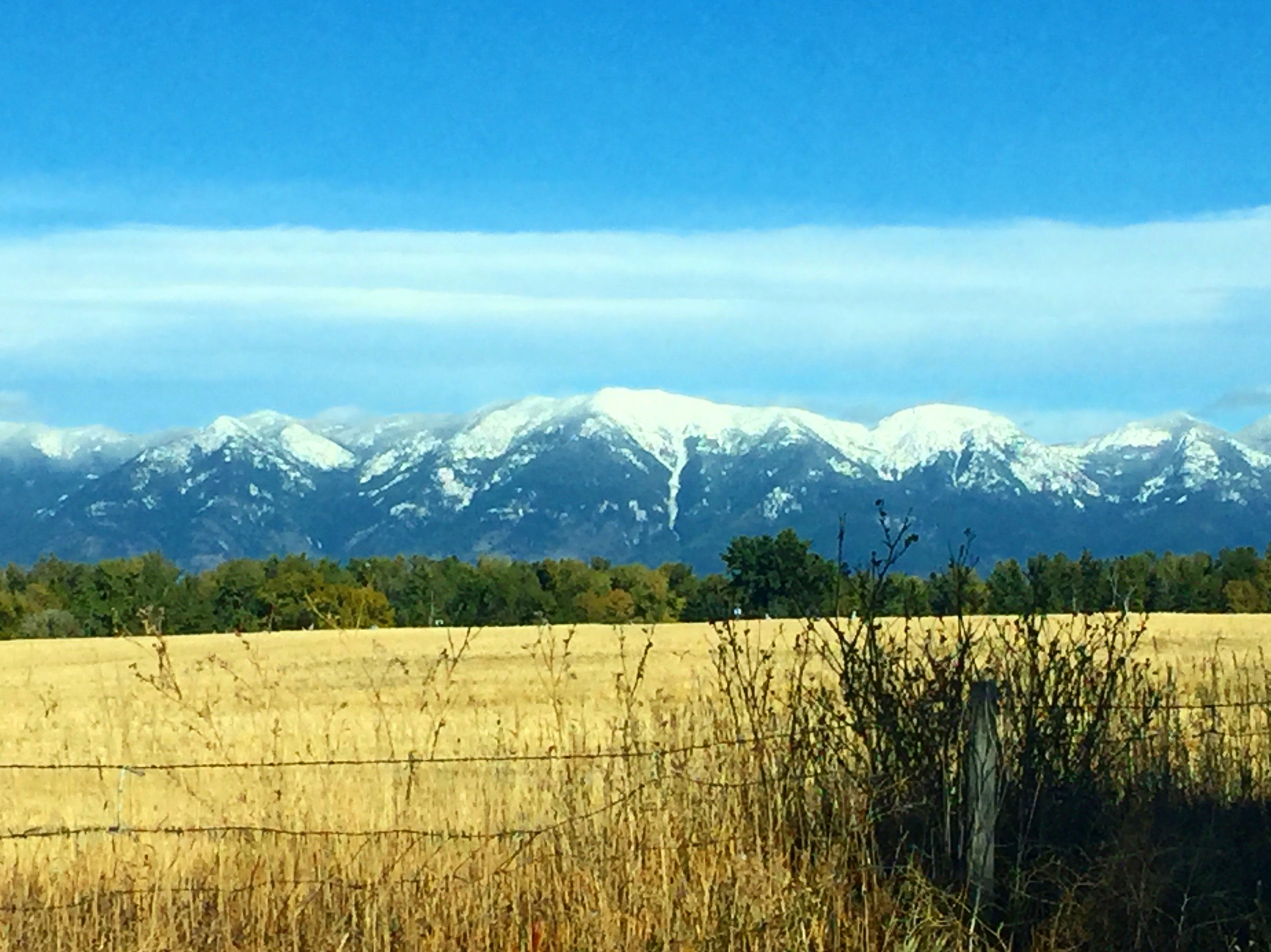 Jenny Schouppe banner