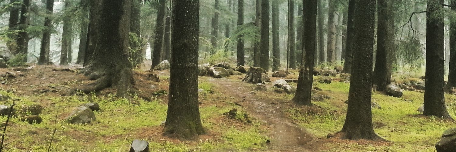 swiftblazer's profile banner image