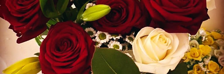 jo_savs's profile banner image