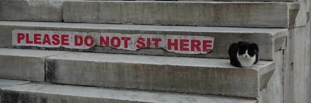 Alison Oliveira banner