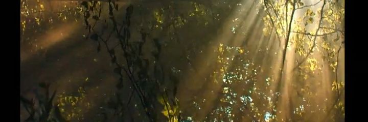DrEustace's profile banner image