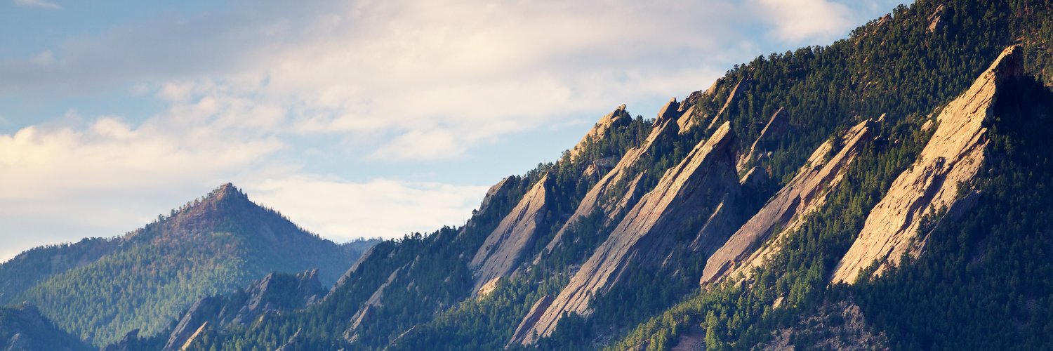 Maria Leonor Pacheco banner