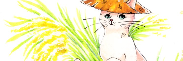 Uke_Sora's profile banner image