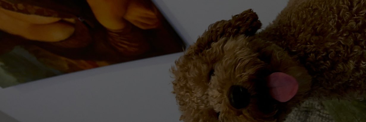 ____Tosh's profile banner image