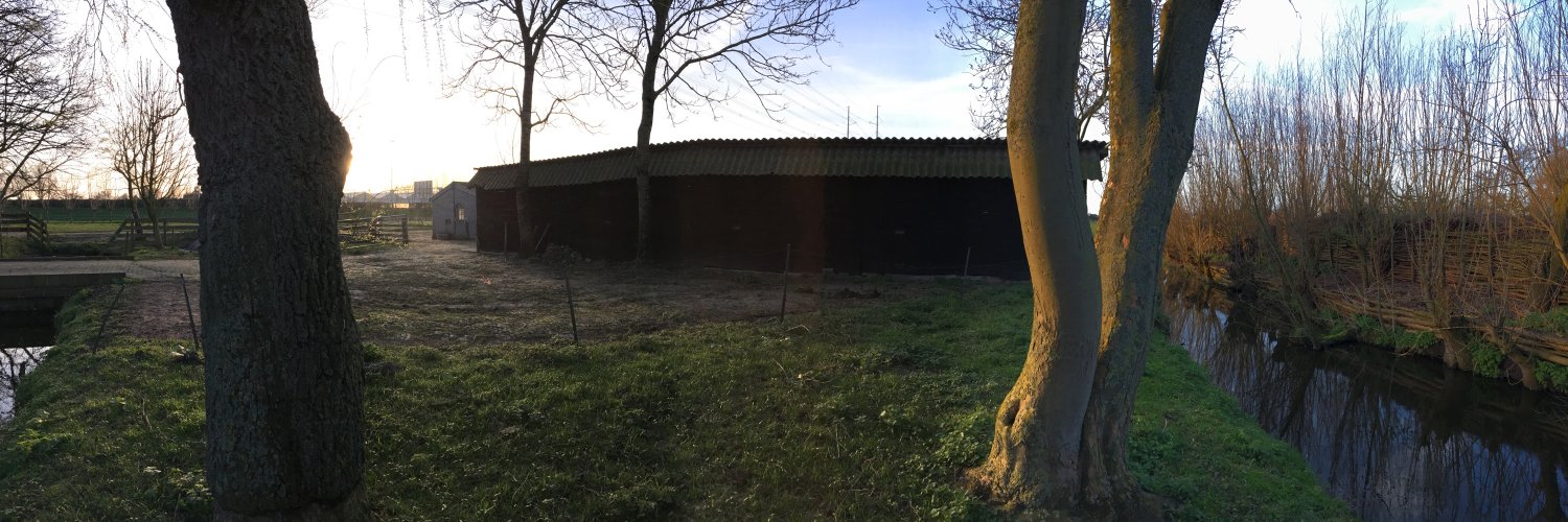 Bram van der Laan banner