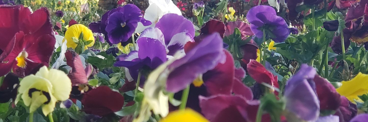 Adurban's profile banner image