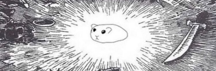 nunnflap's profile banner image