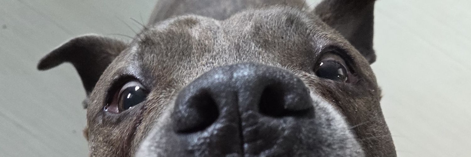 Micheleros2's profile banner image