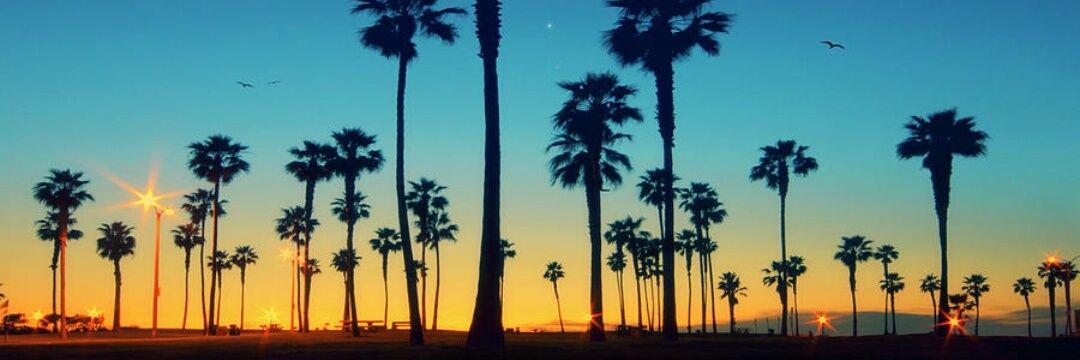 CollbeanG's profile banner image