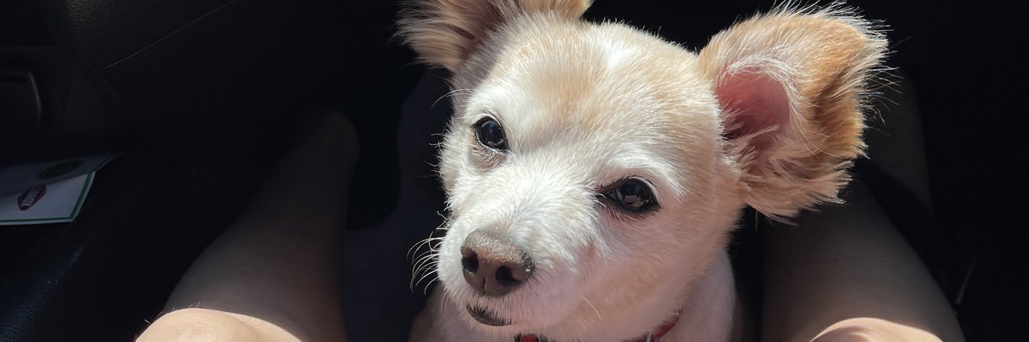 valeeevaleee's profile banner image