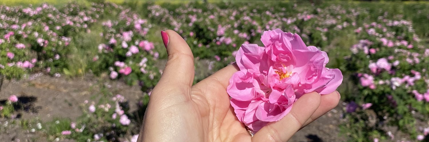 ale lantadilla banner