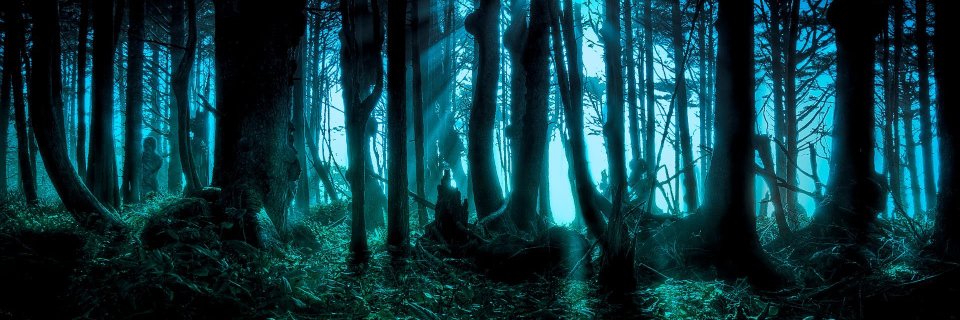 danzachary's profile banner image