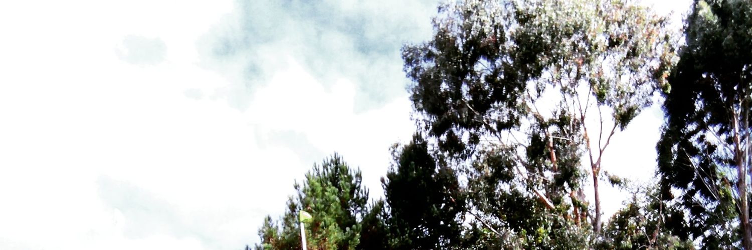 nanohlc's profile banner image