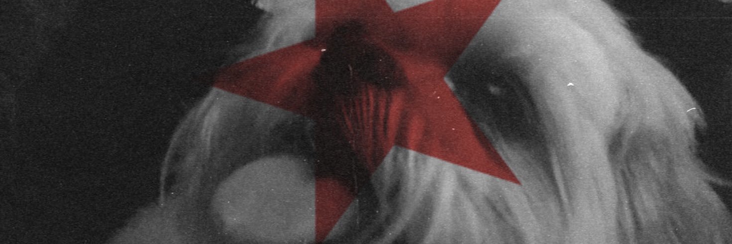 mpsll's profile banner image