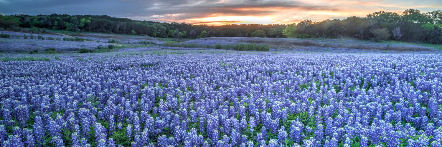 Texas Democrats banner