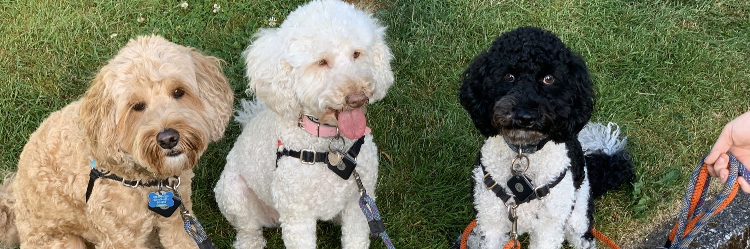 Dr. Sharona Gordon 🏳️‍🌈 🔬 banner