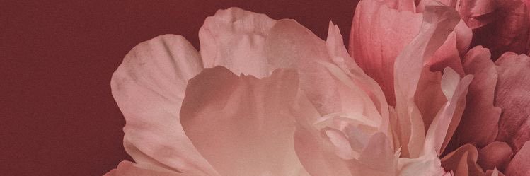 charitaj_'s profile banner image