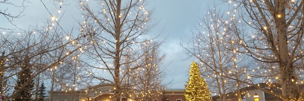 ColAvs96 Profile Banner