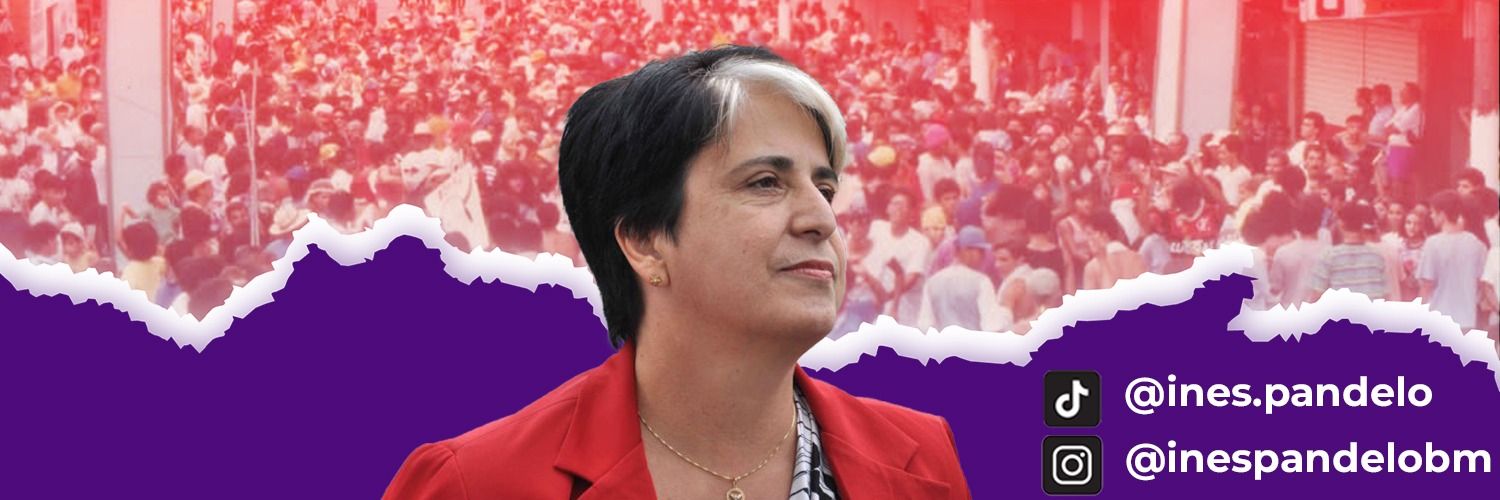 inespandelo's profile banner image