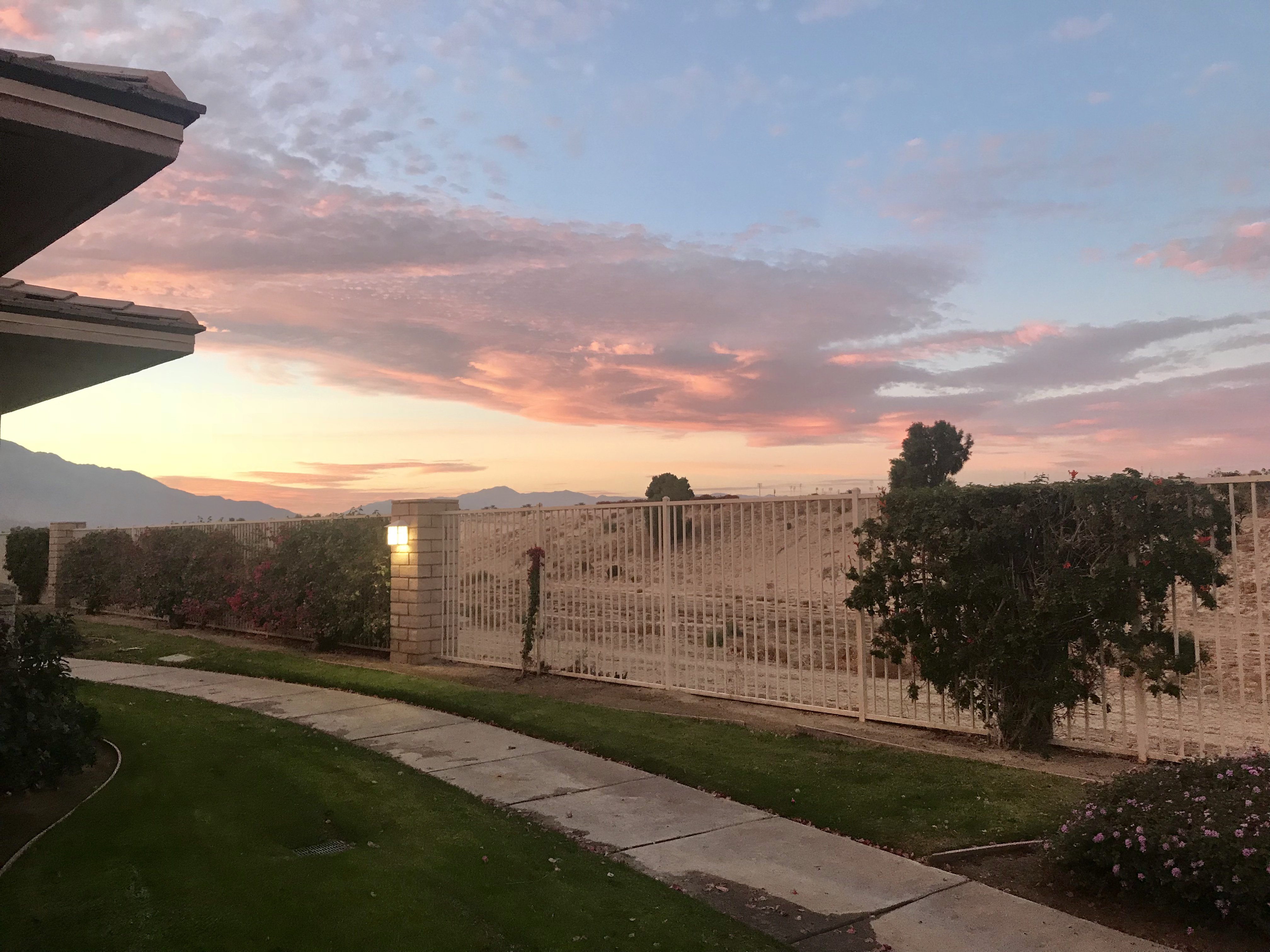 judibaxter's profile banner image