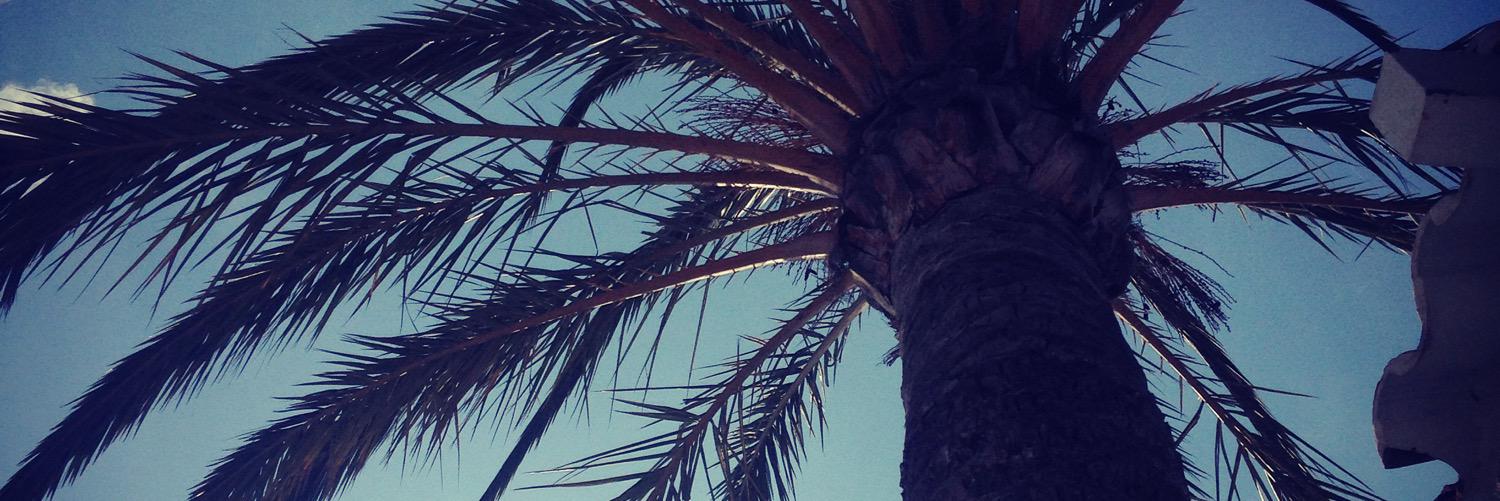 whittowa's profile banner image