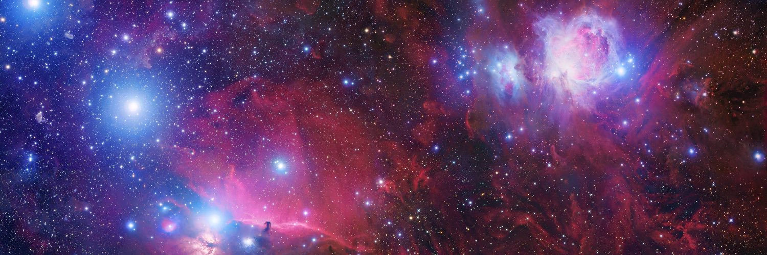 lionmuc's profile banner image