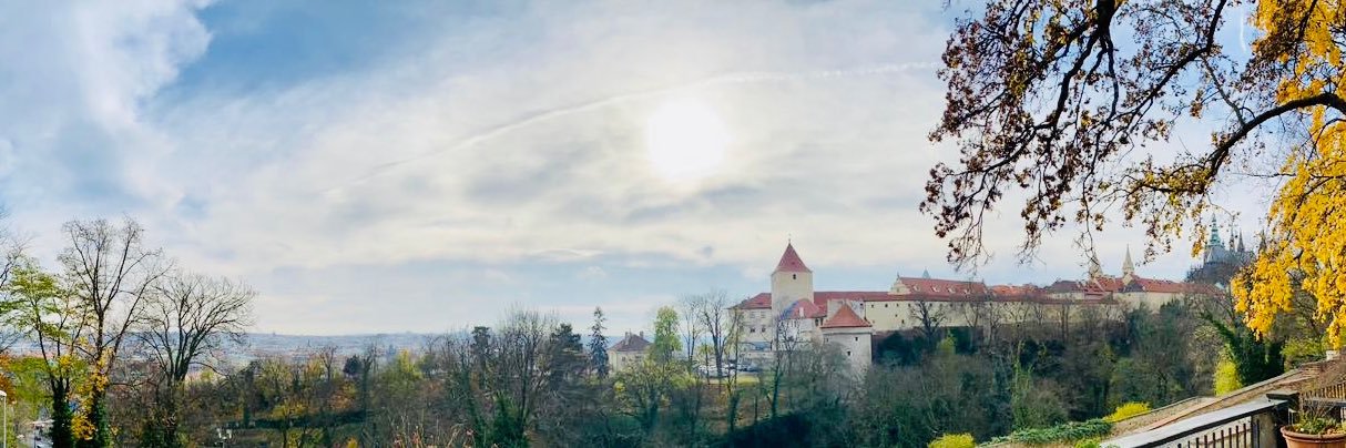 marcegori's profile banner image