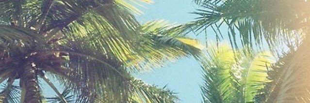 ganjalina jolie banner