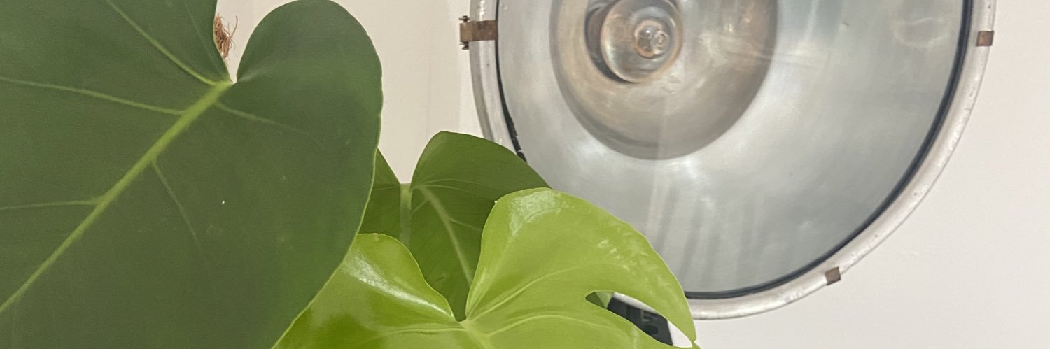 LucianAce's profile banner image
