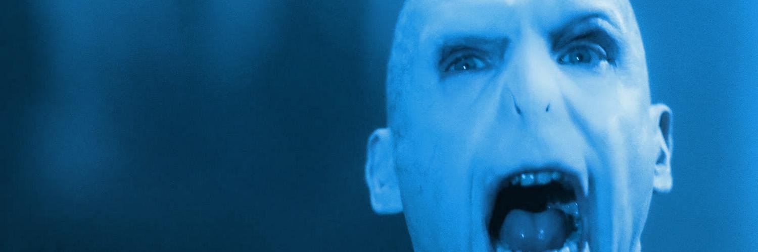 Lord Voldemort banner