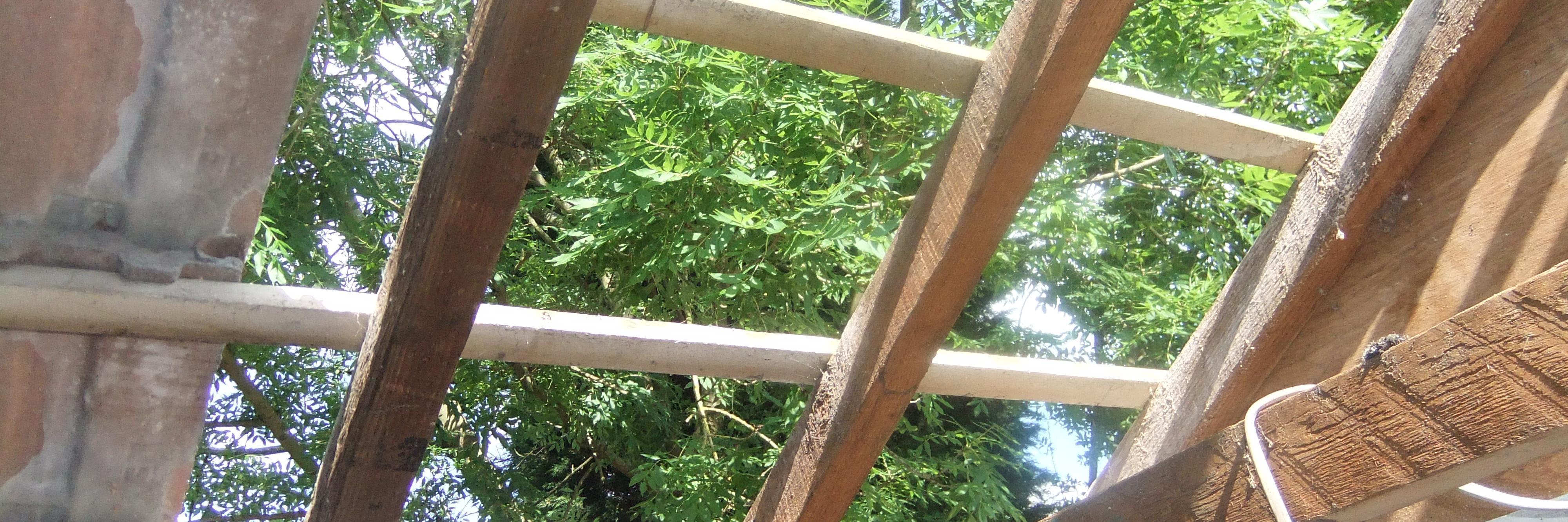 Jackook's profile banner image