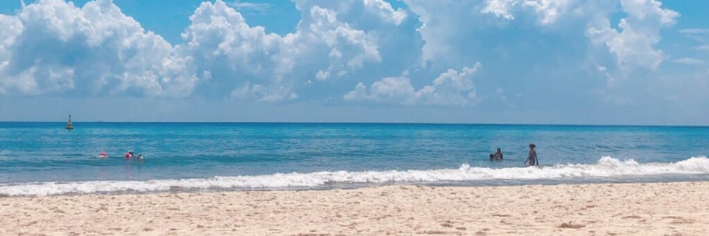 Mpcarbonnet's profile banner image