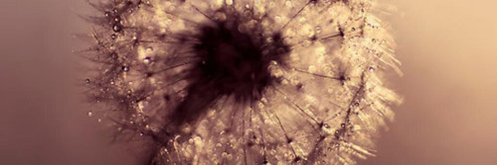 camilazuleta's profile banner image