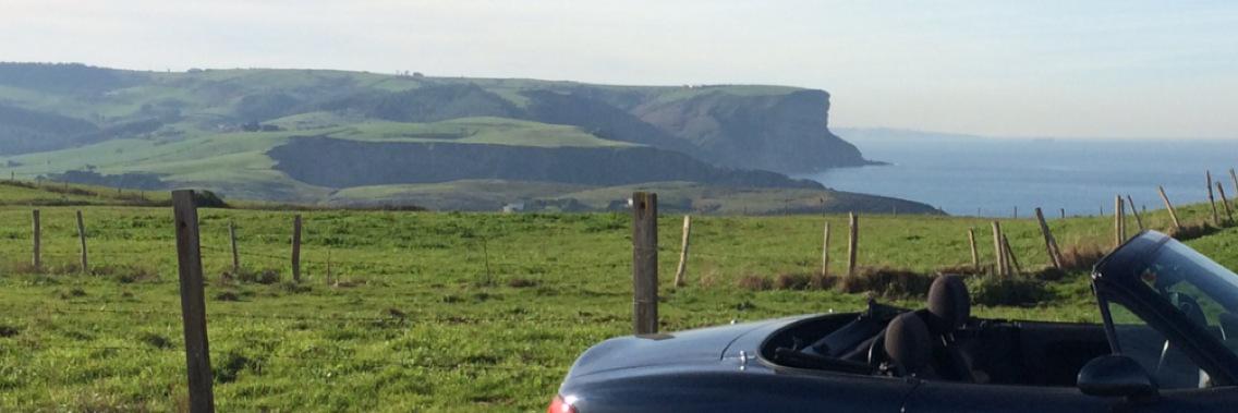 robertodecelis's profile banner image