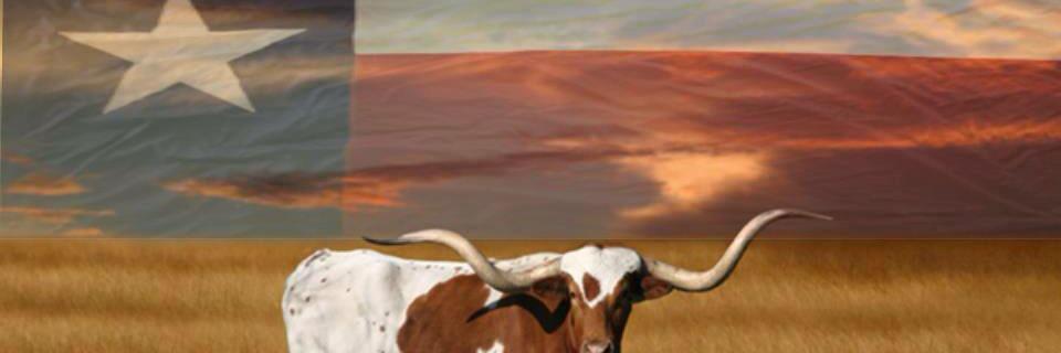 Pbrown58's profile banner image