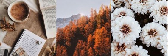 abeadlescomb's profile banner image