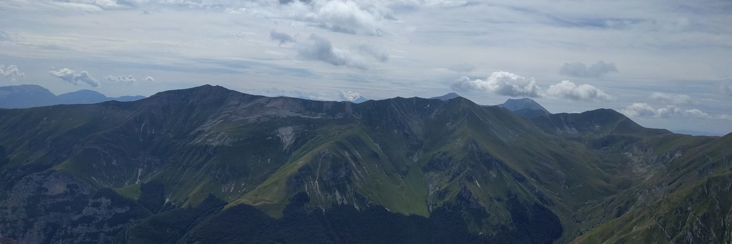 brandoale's profile banner image