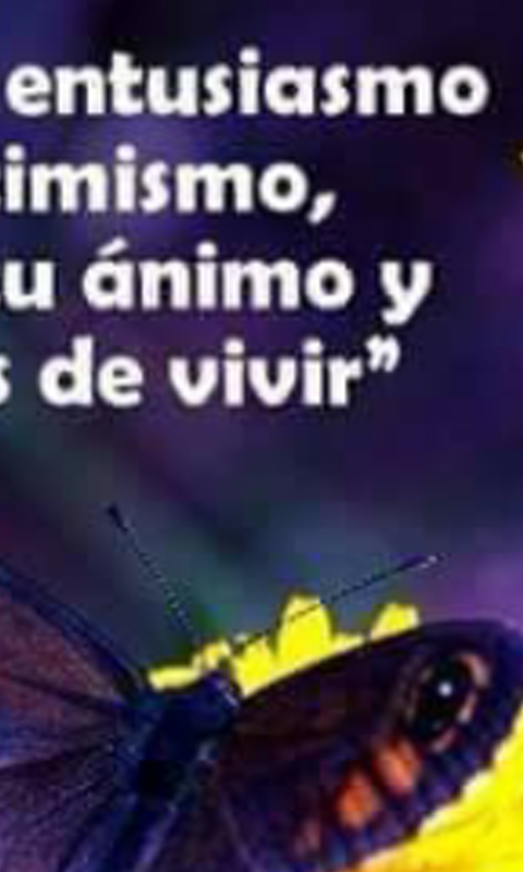 indiramatac's profile banner image