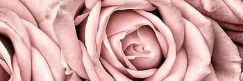 TatsNdLoveNotes's profile banner image