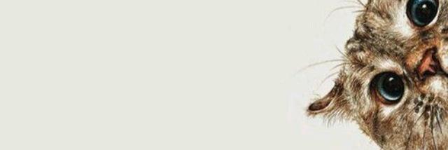 CharlotteDNKS's profile banner image