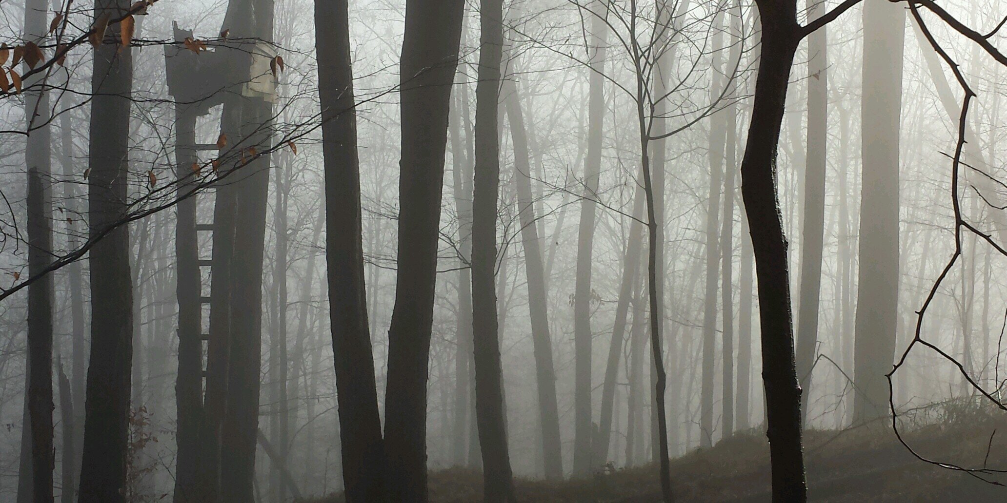Bow_Hunting's profile banner image
