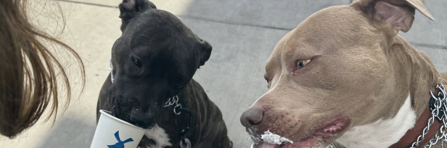 jazminedc's profile banner image