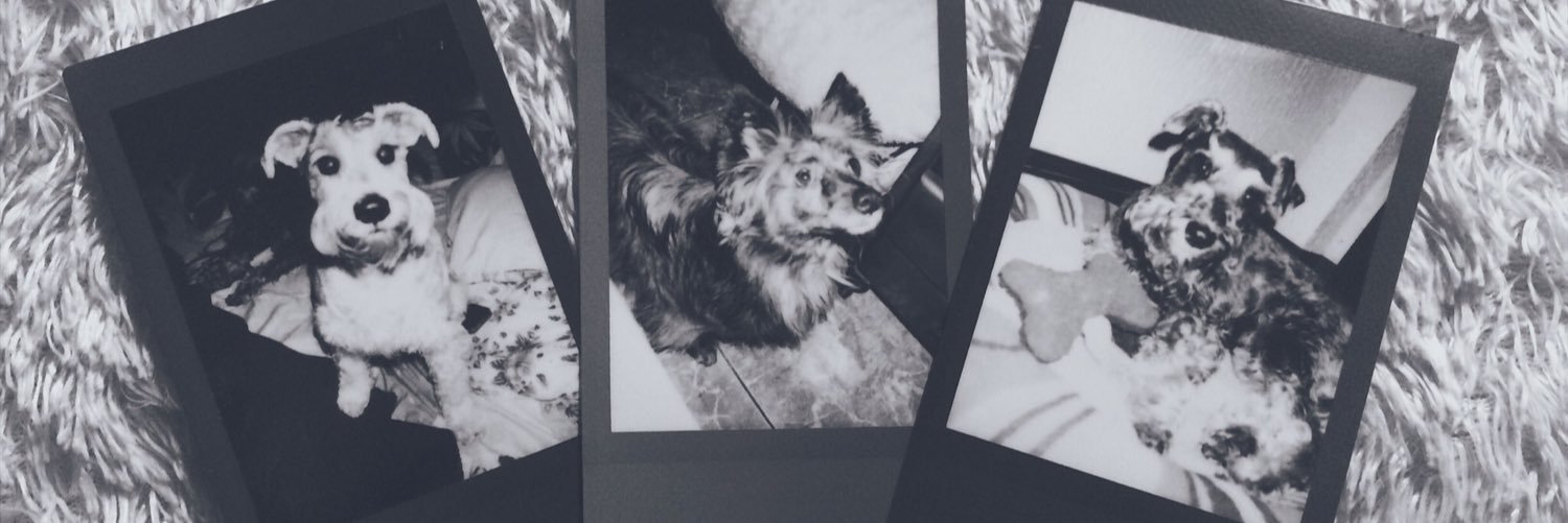 marivaneee's profile banner image
