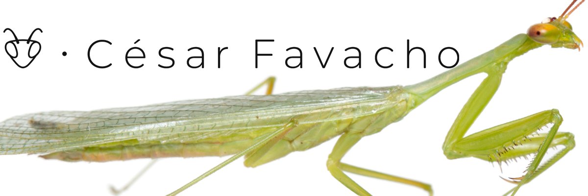 César Favacho ~ Inseto e outros bichinhos 🐜🦗🪲🪳 banner